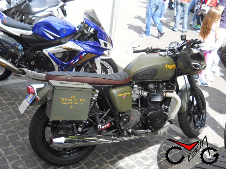 sella triumph booneville.-..